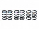 3RACING Sakura FGX Damper Spring Set - FGX-303