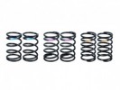 3RACING Sakura FGX Damper Spring Set - FGX-303