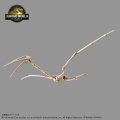 alt="Bandai 5068867 - Plannosaurus Jurassic World Quetzalcoatlus" title="Bandai 5068867 - Plannosaurus Jurassic World Quetzalcoatlus"