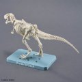 alt="Bandai 5074244 - Plannosaurus Tyrannosaurus Snowfall Area Ver." title="Bandai 5074244 - Plannosaurus Tyrannosaurus Snowfall Area Ver."