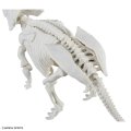 alt="Bandai 5074248 - Plannosaurus Pachyrhinosaurus" title="Bandai 5074248 - Plannosaurus Pachyrhinosaurus"