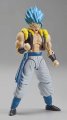 alt="Bandai 5055580 - Super Saiyan God Super Saiyan Gogeta Figure-rise Standard" title="Bandai 5055580 - Super Saiyan God Super Saiyan Gogeta Figure-rise Standard"