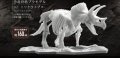 alt="Bandai 5061660 - Triceratops Dinosaur Model Kit Limex Skeleton" title="Bandai 5061660 - Triceratops Dinosaur Model Kit Limex Skeleton"