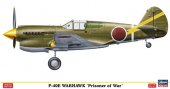 Hasegawa 52104 - 1/48 SP304 P-40E Warhawk Prisoner of War