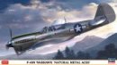 Hasegawa 07516 - 1/48 P-40N Warhawk 'Natural Metal Aces' Hasegawa 07516 - 1/48 P-40N Warhawk 'Natural Metal Aces'