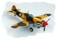 alt="Hobby Boss 80250 P-40E Kitty hawk" title="Hobby Boss 80250 P-40E Kitty hawk"