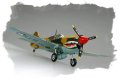 alt="Hobby Boss 80250 P-40E Kitty hawk" title="Hobby Boss 80250 P-40E Kitty hawk"
