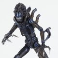 alt="Kaiyodo NR-83 Tokusatsu No.016 Alien Warrior" title="Kaiyodo NR-83 Tokusatsu No.016 Alien Warrior"