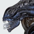 alt="Kaiyodo NR-83 Tokusatsu No.016 Alien Warrior" title="Kaiyodo NR-83 Tokusatsu No.016 Alien Warrior"