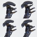 alt="Kaiyodo NR-83 Tokusatsu No.016 Alien Warrior" title="Kaiyodo NR-83 Tokusatsu No.016 Alien Warrior"