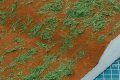 alt="Tamiya 87111 - Texture Paint-Grass, Green" title="Tamiya 87111 - Texture Paint-Grass, Green"