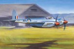 Trumpeter 02893 - 1/48 De Havilland Hornet F.1 WWII