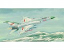 Trumpeter 01610 Shenyang F-8II Finback -B