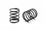 XRAY 308288 4S Spring Set C=2.8 (2)