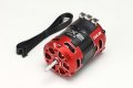 alt="Yokomo RPM-D2155RR Racing Performer DX2 Type-R Brushless Motor Red Version 15.5T (12.5 x 7.25 x 24mm)" title="Yokomo RPM-D2155RR Racing Performer DX2 Type-R Brushless Motor Red Version 15.5T (12.5 x 7.25 x 24mm)"